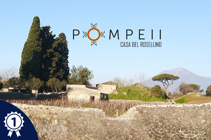 Pompei Rosellino 00 Anteprima